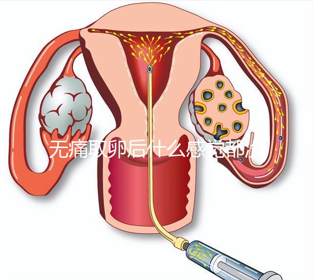 無痛取卵后什么感覺都沒有異常是謠言！只會出現一部分...