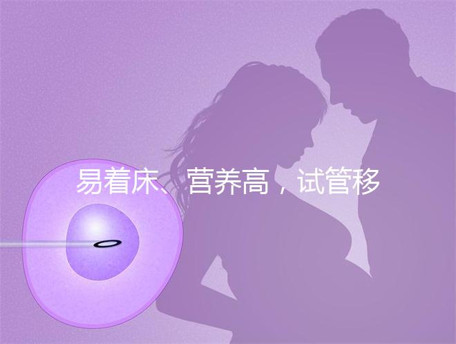 易著床、營養高，試管移植后吃獼猴桃的好處你不知道！