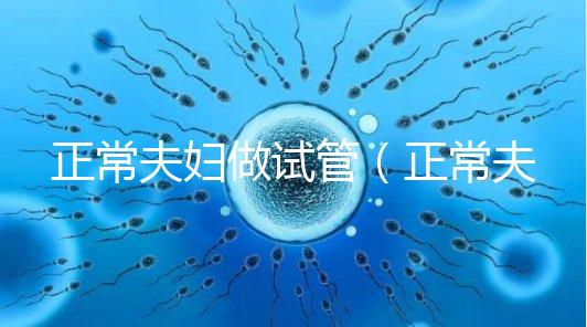 正常夫婦做試管(正常夫婦做試管嬰兒成功率多少)