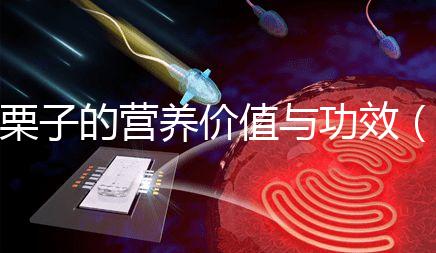 栗子的營養(yǎng)價值與功效（水果栗子的營養(yǎng)價值與功效）