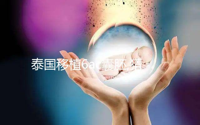 泰國(guó)移植6ac囊胚,猜測(cè)結(jié)果不如了解,助孕過程更放心