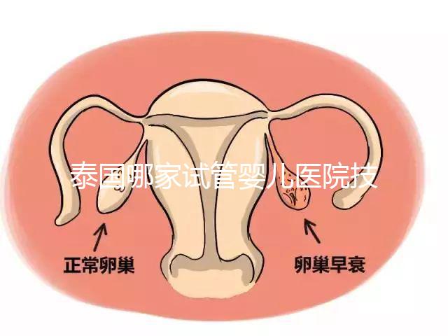 泰國哪家試管嬰兒醫(yī)院技術(shù)好?這些醫(yī)院排名前三