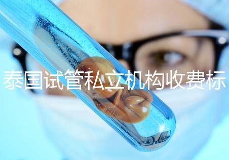 泰國試管私立機(jī)構(gòu)收費(fèi)標(biāo)準(zhǔn)公開，收費(fèi)透明，可靠