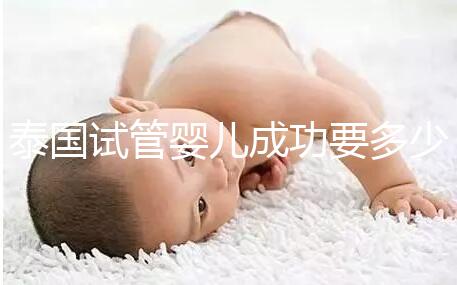 泰國試管嬰兒成功要多少錢？不成功怎么辦？