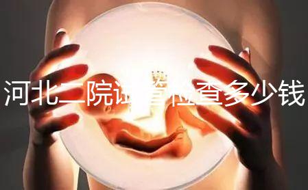 河北二院試管檢查多少錢公布,項(xiàng)目不同價格自然有所差異