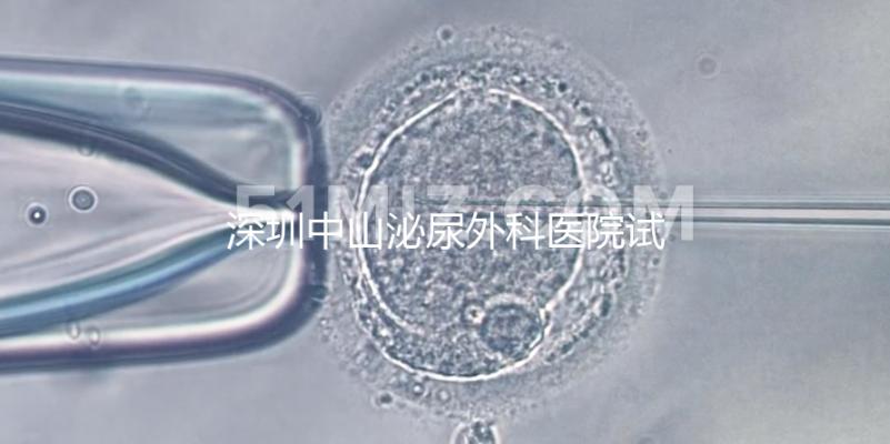 深圳中山泌尿外科醫院試管成功率參考,一次就中并非神話