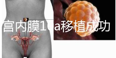 子宮內(nèi)膜10a移植成功率高別還不知道,放入鮮胚厚度剛剛好