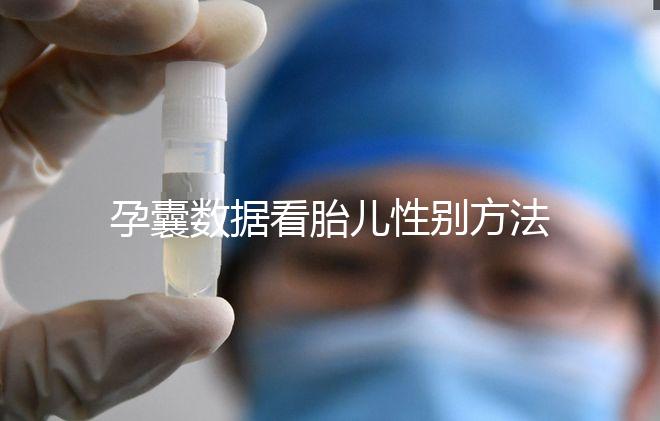 孕囊數據看胎兒性別方法，尺寸兩大一小是男孩瞎扯