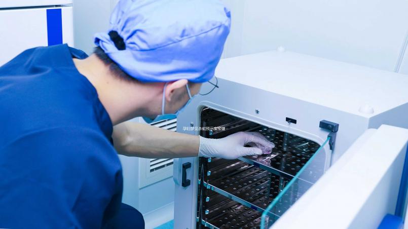 孕婦夢見殺蛇預示寶寶健康？相關胎夢解讀