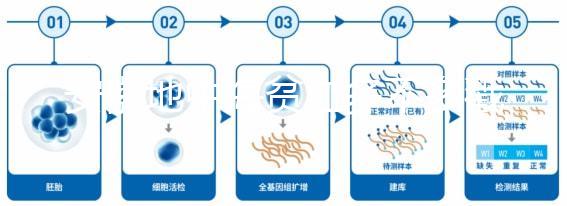 安徽地中海貧血多不多戳，合肥比例低也要早發現早治療