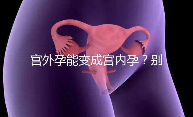 宮外孕能變成宮內孕？別瞎說！會出事兒的！