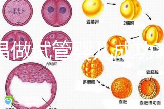 宜昌做試管嬰兒成功率和費用多少？先看哪些醫院能做吧！