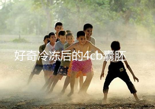 好奇冷凍后的4cb囊胚移植幾天著床看這，第七天別還不敢測