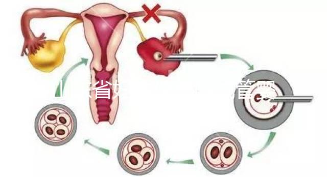 山東省婦幼保健院試管嬰兒怎么樣，新版助孕成功率數(shù)據(jù)公布