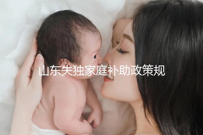 山東失獨家庭補助政策規(guī)定2024,濟南超過60歲每月領一千