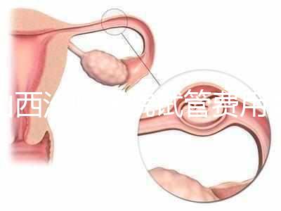 山西汾陽醫院試管費用清單公布，2024年生殖科助孕成功率公布
