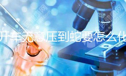 開車無意壓到蛇要怎么化解進來瞧，要不要報警一目了然