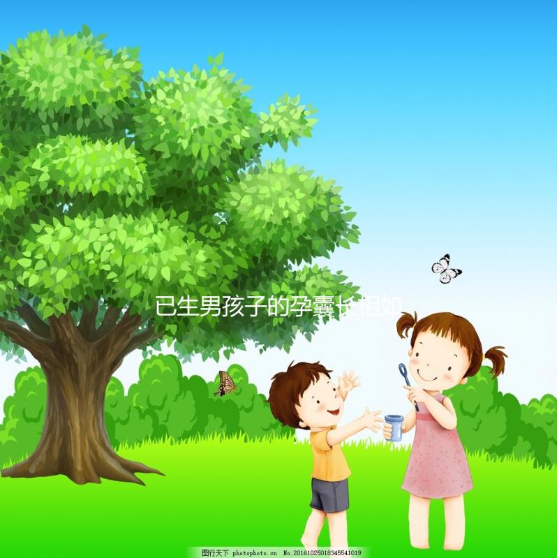 已生男孩子的孕囊長相如此怪異，圖片參考對照看看