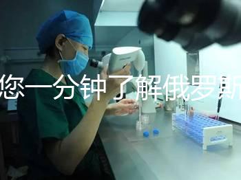 帶您一分鐘了解俄羅斯試管中心的費用明細,快速收集!