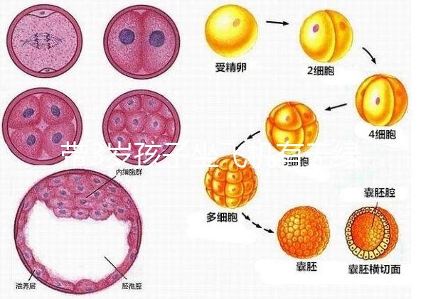 帶3歲孩子坐飛機有無綠色通道答案揭曉，提前申請免排隊