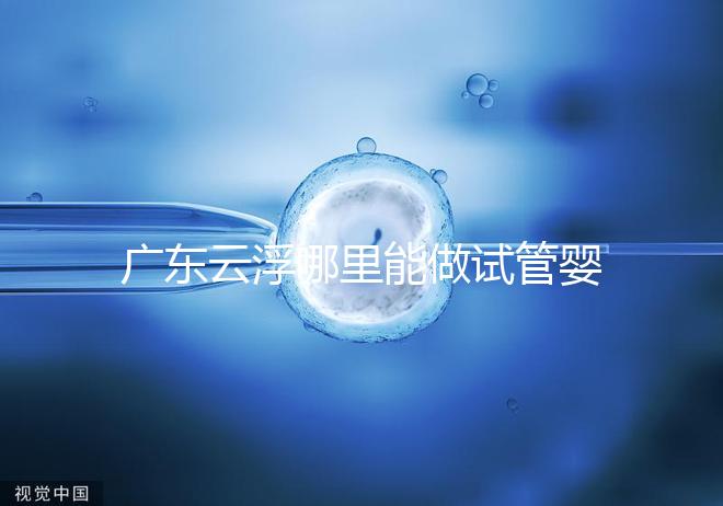 廣東云浮哪里能做試管嬰兒？具體費用明細點這里了解