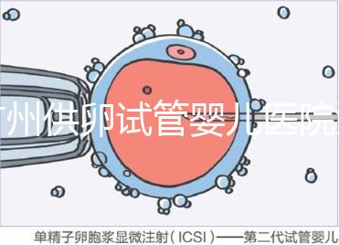 廣州供卵試管嬰兒醫院匯總,真實案例告訴你廣東哪家最好