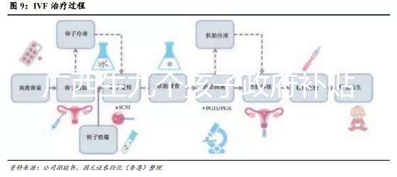 廣西生九個孩子政府補貼500真假難辨，有無補助看完明白