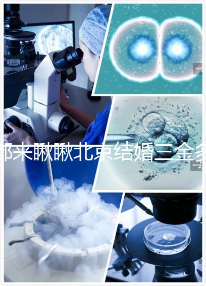 都來(lái)瞅瞅北京結(jié)婚三金多少錢(qián),朝陽(yáng)服裝錢(qián)誰(shuí)出也有答案