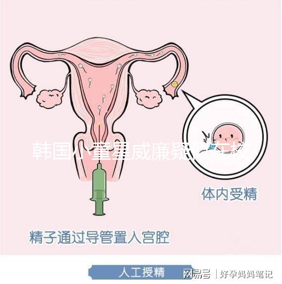 韓國小童星威廉疑似在校被霸凌？父親Sam辟謠：凹高冷人設