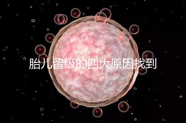 胎兒留級的四大原因找到了!多半和媽媽太懶不運(yùn)動有關(guān)系