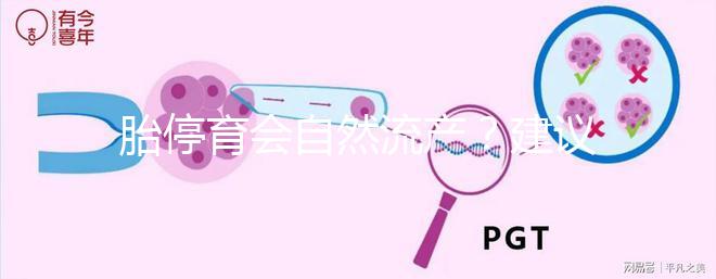 胎停育會自然流產?建議別等!有殘留,只會對母體造成更大危害