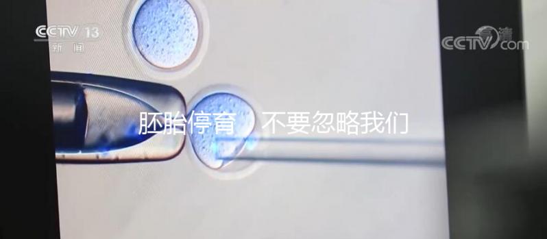 胚胎停育，不要忽略我們身邊的“隱形殺手”