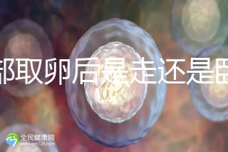 腹部取卵后是走還是臥床？適當(dāng)走路喝點(diǎn)紅豆水是正確做法