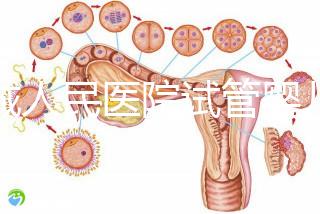 聊城人民醫(yī)院試管嬰兒成功率怎么樣，3大助孕案例告訴你答案