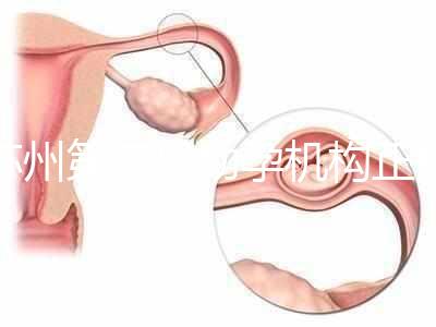 蘇州第三代助孕機構正規可靠嗎？實地考察才為真