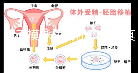 自己摸脈搏測懷孕方法真不難，想準確率高關鍵是找對手法