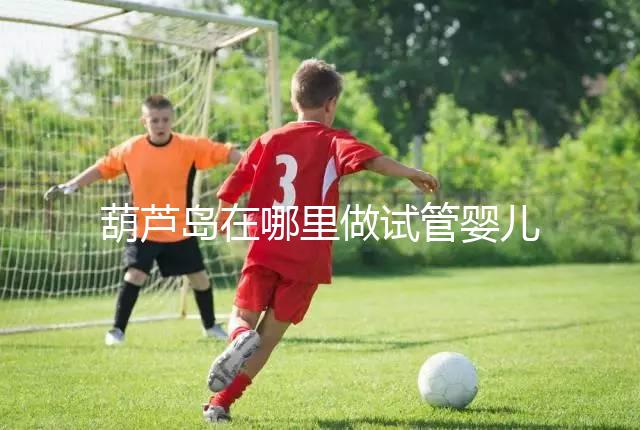 葫蘆島在哪里做試管嬰兒好？盛京和202醫(yī)院是熱門選擇