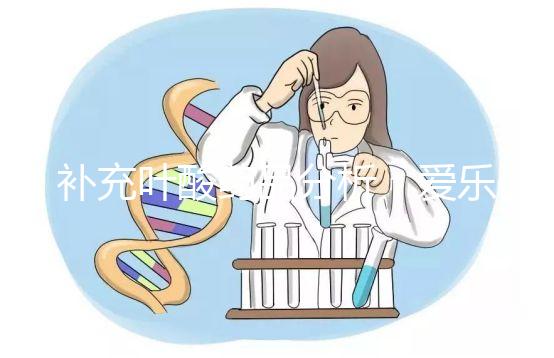 補(bǔ)充葉酸藥品分析:愛樂(lè)維和斯利安哪個(gè)孕期更需?