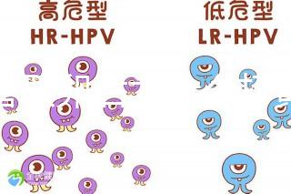 試管取卵后為什么打黃體酮？3大作用的目的都殊途同歸