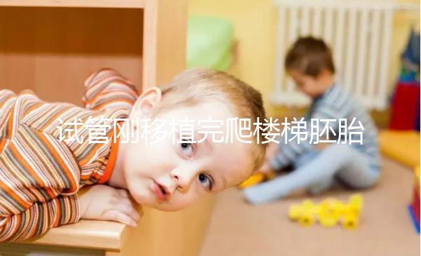 試管剛移植完爬樓梯胚胎會(huì)掉出來(lái)是謠言!這3大影響了解下