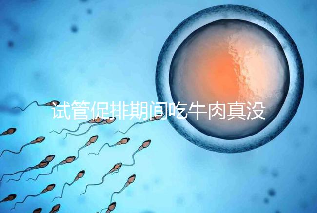 試管促排期間吃牛肉真沒影響，關鍵在于是火鍋還是牛肉干
