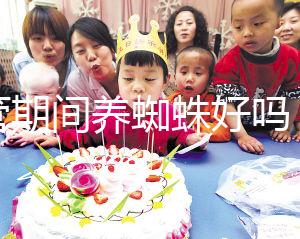 試管期間養(yǎng)蜘蛛好嗎?人們告訴你,這些影響應該早知道