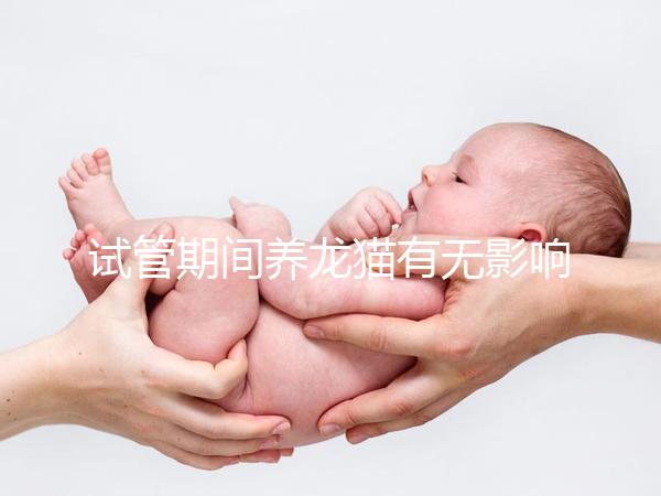 試管期間養(yǎng)龍貓有無(wú)影響剖析,是否胎停、流產(chǎn)取決這幾點(diǎn)