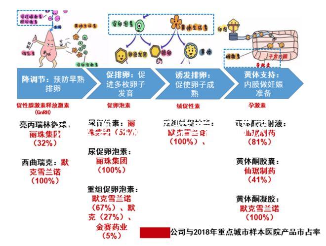 試管嬰兒優(yōu)胚培養(yǎng)囊胚風(fēng)險特別大，逃不掉這3大原因