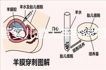 試管嬰兒最大年齡限制(試管嬰兒最大年齡限制是多少)