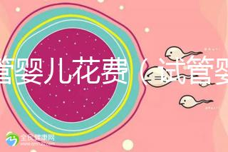 試管嬰兒花費(fèi)（試管嬰兒花費(fèi)多少錢(qián)？）