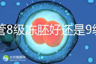 試管8級凍胚好還是9級好進(jìn)來瞧，看完二者區(qū)別全明白