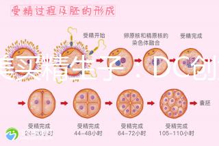 赴美買精生子:DC創(chuàng)始人葉海洋怒砸50萬生下五國(guó)混血兒