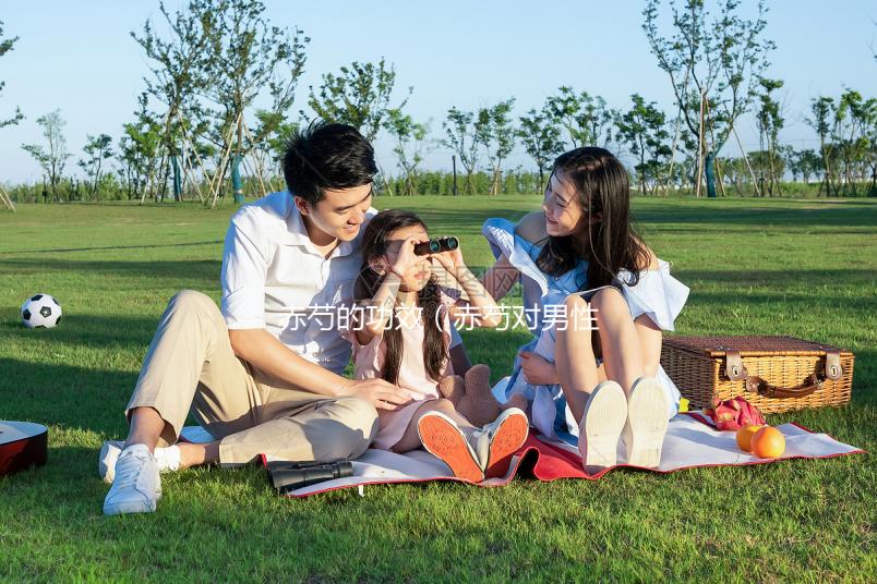 赤芍的功效(赤芍對男性功能的作用)