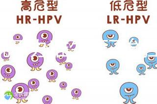 誰說不辦準生證不能上戶，2020年生育新政策了解下！